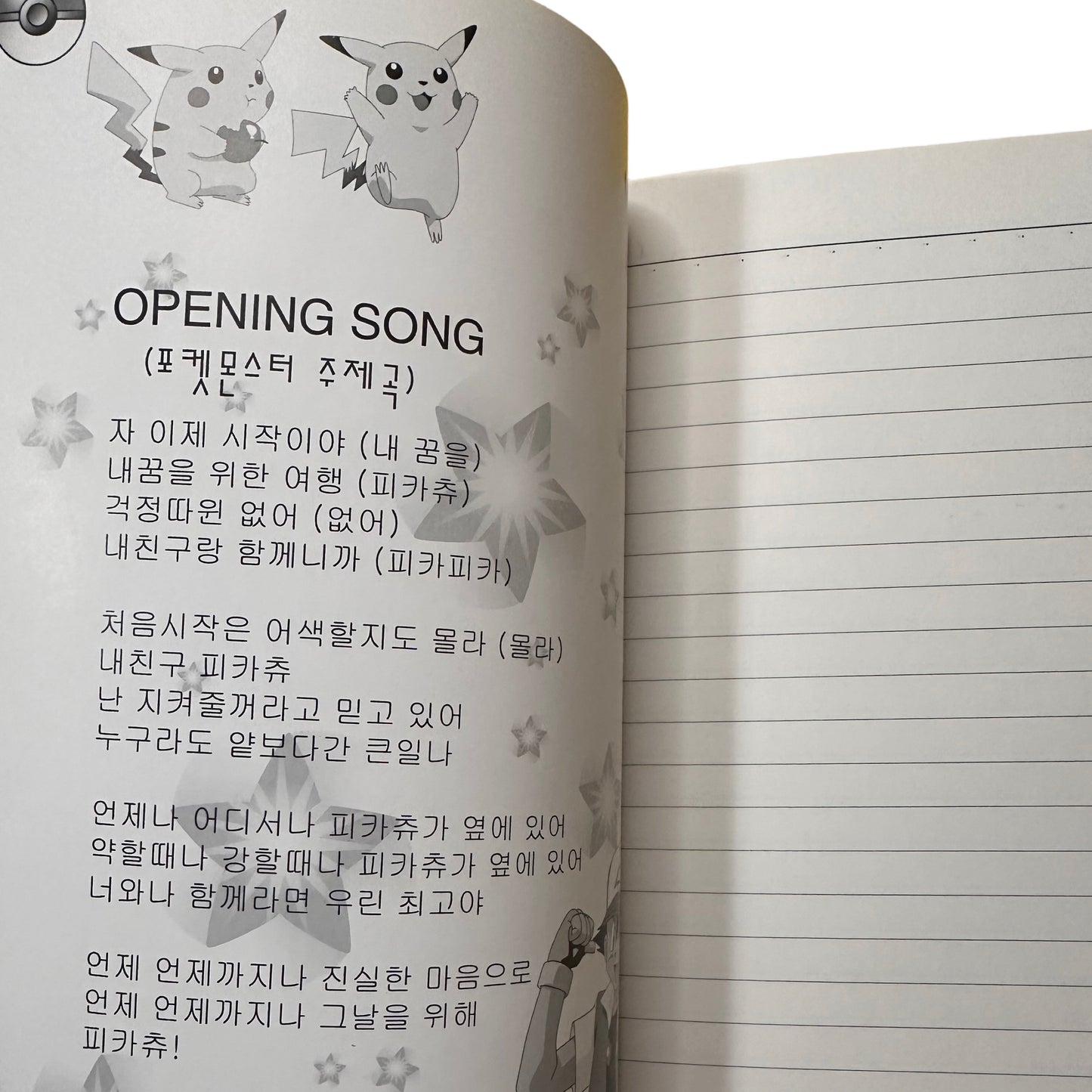 Rare Pocket Monsters Journals