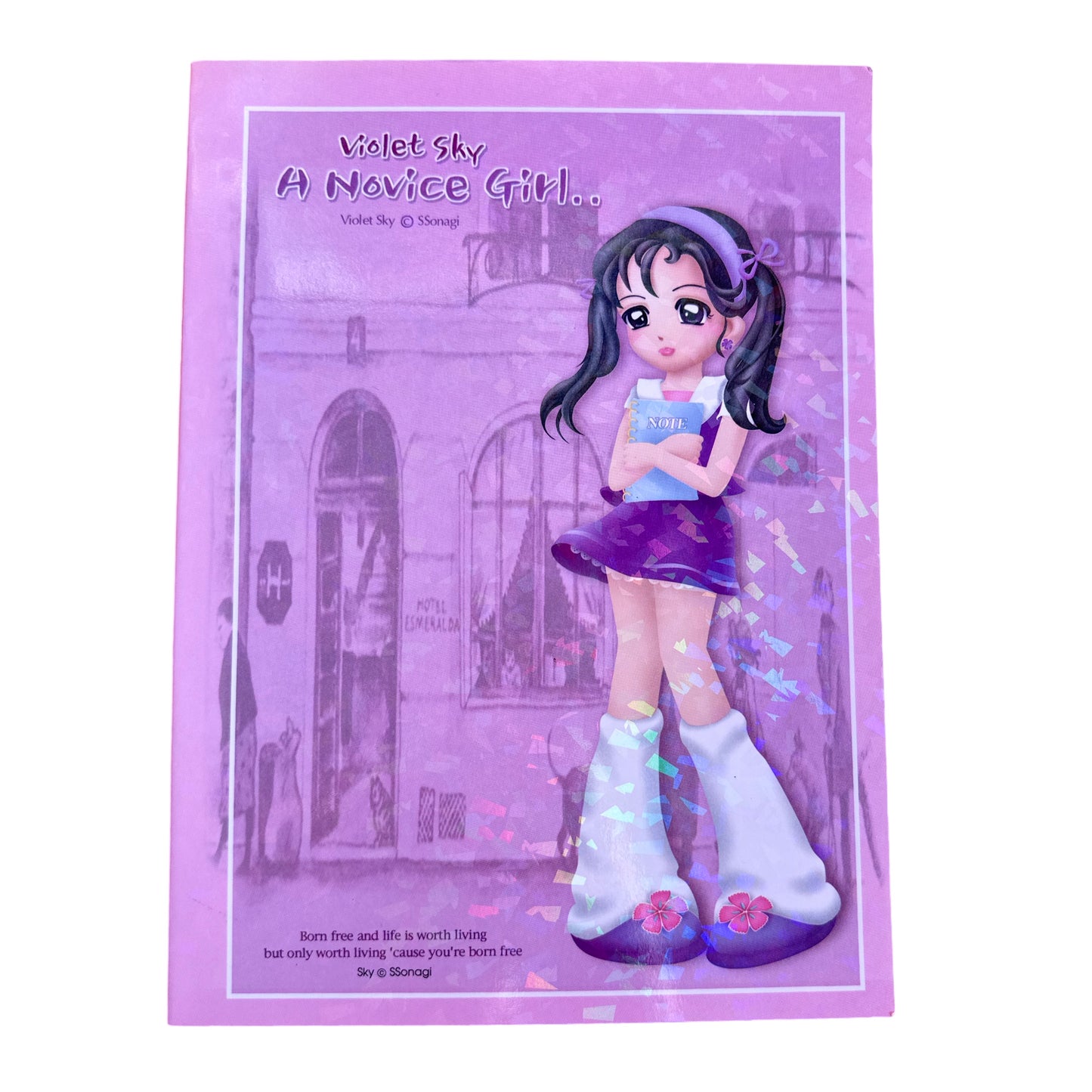 Violet Sky Journal