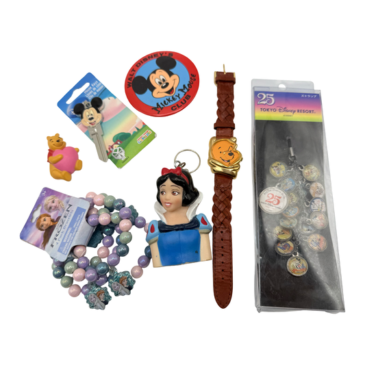 Disney Trinket Bundle