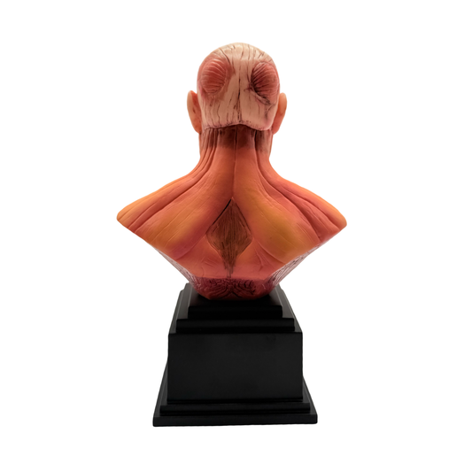 Attack on Titan Premium Bust Figure Supersized Titan